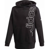Boys' hoodie