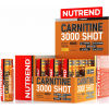 L- karnitin - Nutrend CARNITINE 3000 SHOT ANANÁS - 2
