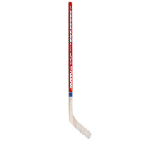 Kids' Hockey Stick
