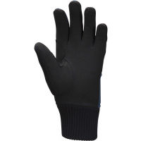 Nordic ski gloves