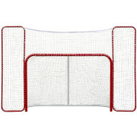 Hockey goal with a backstop
