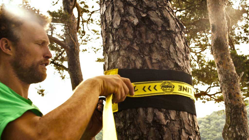 Ochrana stromů