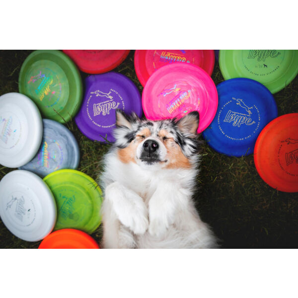 Løype PUP 120 DISTANCE Kleines Hunde Frisbee, Gelb, Größe Os