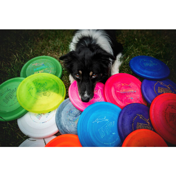 Løype PUP 120 DISTANCE Kleines Hunde Frisbee, Gelb, Größe Os