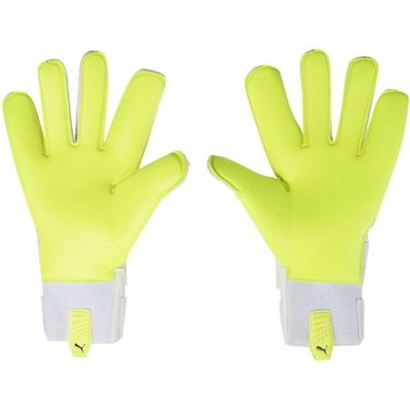 puma evospeed 1.3 goalkeeper gloves
