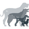 Szelki dla psa - MOUNTAINPAWS DOG HIKING HARNESS - 5