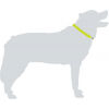 Hundehalsband - MOUNTAINPAWS DOG COLLAR - 2