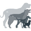 Hundehalsband - MOUNTAINPAWS DOG COLLAR - 3