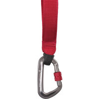 Bungee dog leash