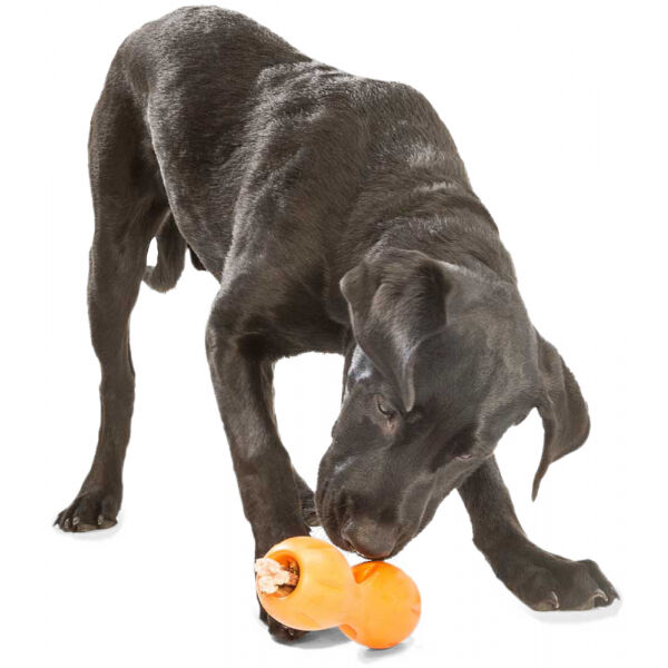 WEST PAW QWIZL LARGE Hundespielzeug, Orange, Größe Os