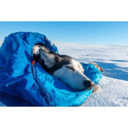 Dogs’ sleeping bag - NON STOP DOG WEAR LY - 10
