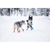 Zimné papučky pre psov - NON STOP DOG WEAR LONG DISTANCE BOOTIE - 2