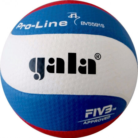 Volleyball - GALA PRO LINE BV 5591 S