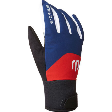 Daehlie GLOVE CLASSIC 2.0 JR - Children's gloves for cross-country skiing
