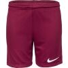 Chlapčenské futbalové šortky - Nike DRI-FIT PARK 3 JR TQO - 2