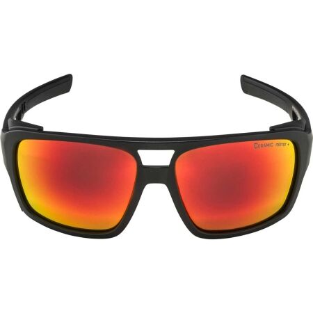 Sunglasses for mountain hiking - Alpina Sports SKYWALSH - 2