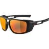 Sunglasses for mountain hiking - Alpina Sports SKYWALSH - 1