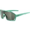 Sunglasses - Alpina Sports BONFIRE - 1