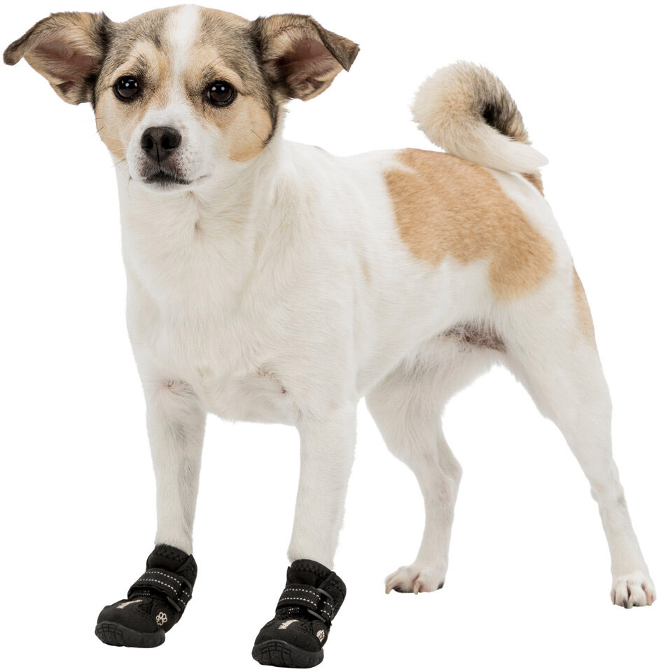 Обувки за кучета