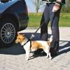 Car harness - TRIXIE DOG CAR HARNESS XS 20-50CM - 6