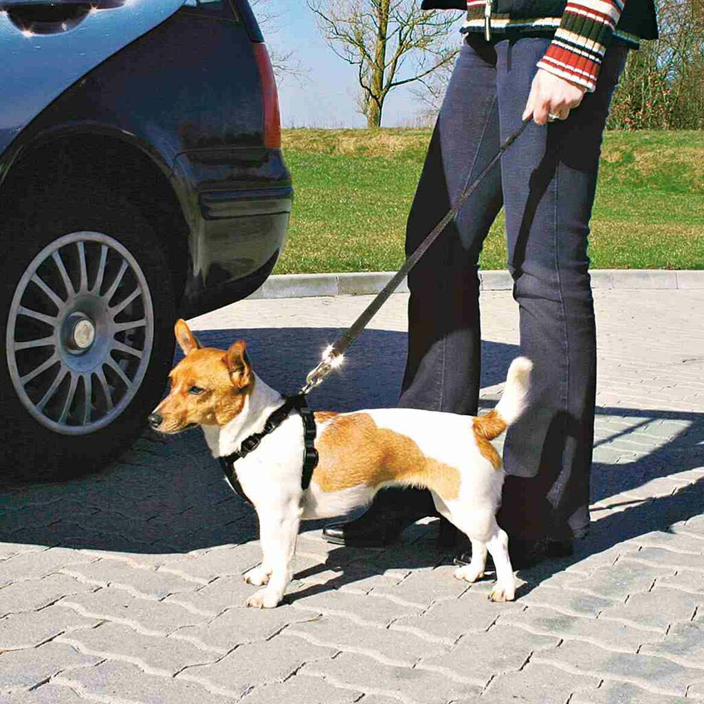 Предпазен нагръдник за куче за кола