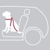 Car harness - TRIXIE DOG CAR HARNESS L 70-90CM - 3