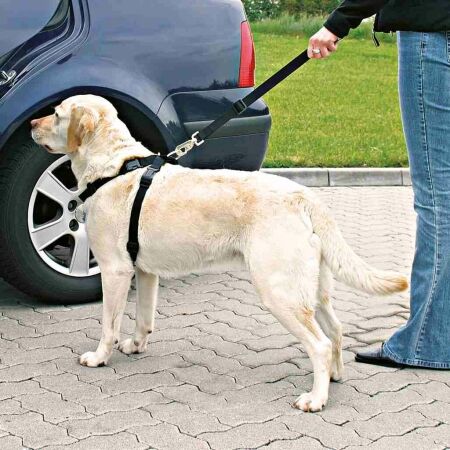 Car harness - TRIXIE DOG CAR HARNESS L 70-90CM - 5