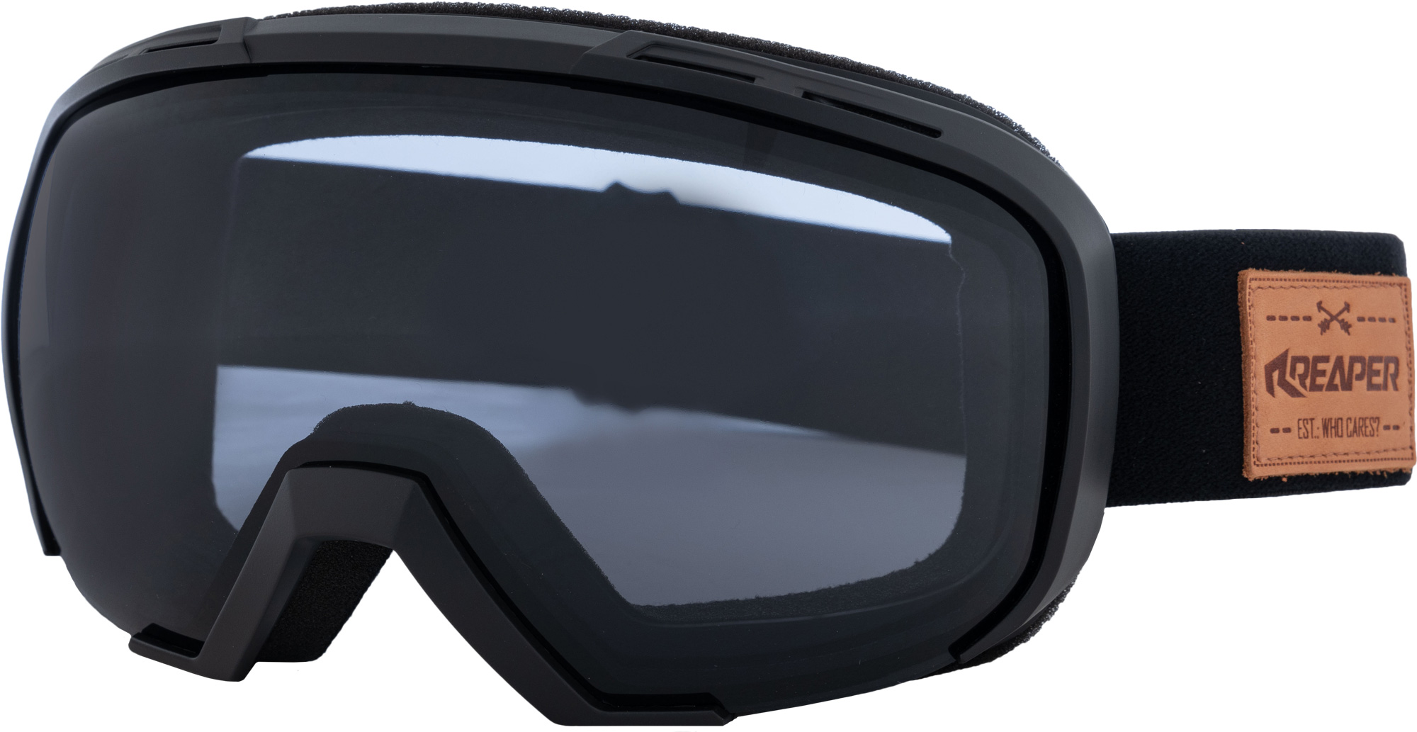 Snowboard goggles