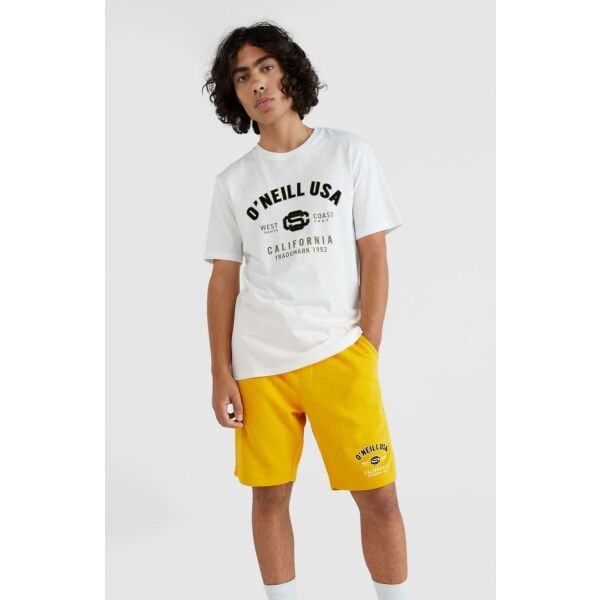 O'Neill STATE T-SHIRT Мъжка тениска, бяло, Veľkosť S