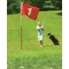 Steag golf - PURE 2 IMPROVE FLAG POLE SET - 2