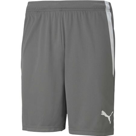 Puma TEAM LIGA SHORTS - Men's shorts