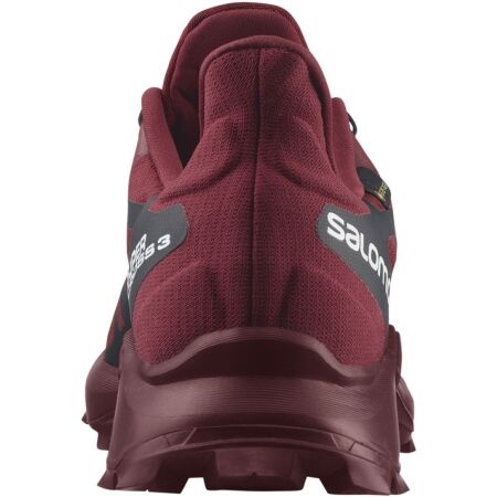Herren Trailrunning Schuhe - Salomon SUPERCROSS 3 GTX - 3