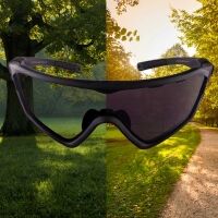 Photochromic sunglasses