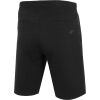Men's shorts - 4F MEN'S SHORTS - 2