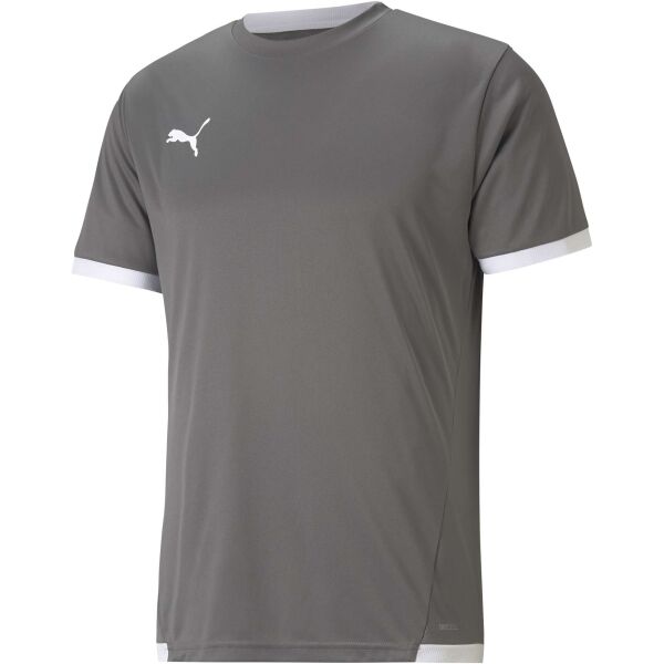 Puma TEAM LIGA JERSEY Férfi futballpóló, szürke, méret M