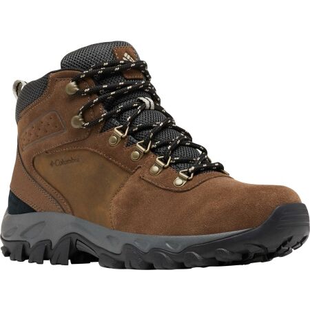 Columbia NEWTON RIDGE PLUS SUEDE - Men's trekking shoes