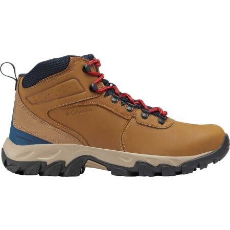 Columbia NEWTON RIDGE PLUS - Men's trekking shoes