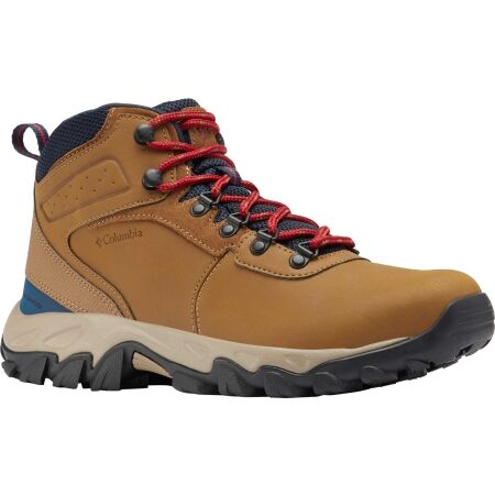 Columbia NEWTON RIDGE PLUS - Men's trekking shoes