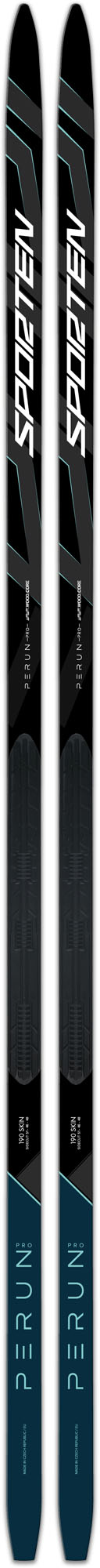 Classic style Nordic skis with skins