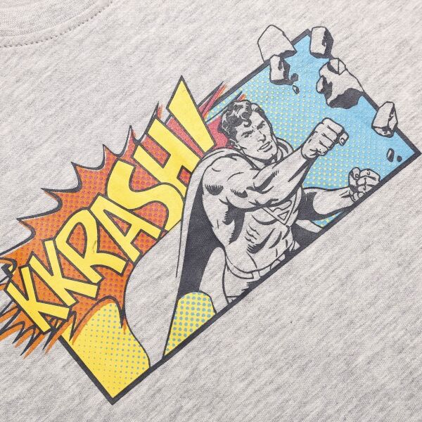 Warner Bros SUPERMAN KRASH Детска тениска, сиво, Veľkosť 164-170
