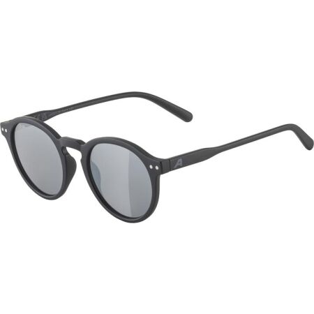 Alpina Sports SNEEK - Sunglasses