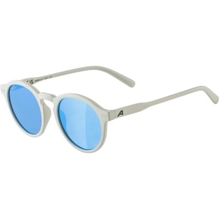Alpina Sports SNEEK - Sunglasses
