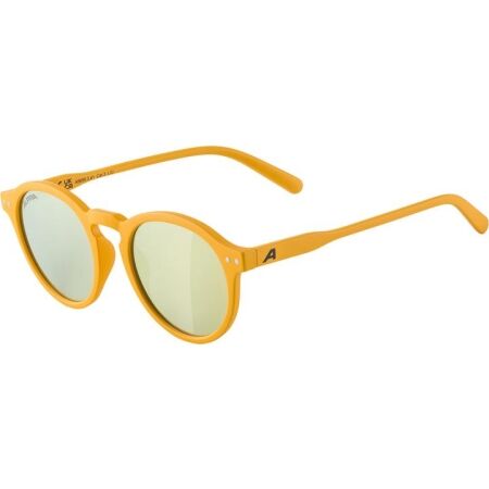 Alpina Sports SNEEK - Sonnenbrille