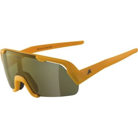 Alpina Sports ROCKET YOUTH Q-LITE - Sluneční brýle