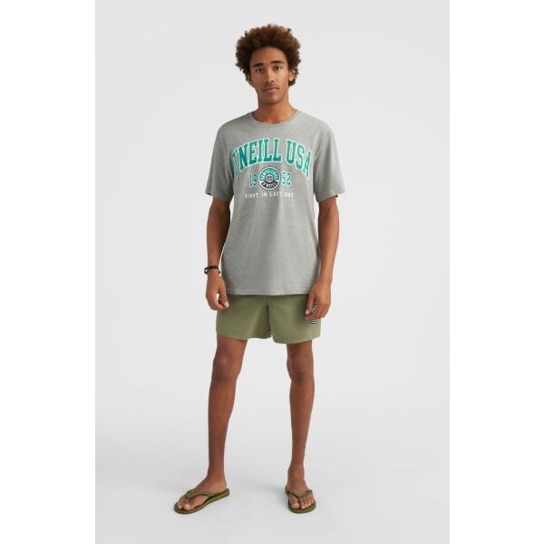 O'Neill SURF STATE T-SHIRT Herrenshirt, Grau, Größe S