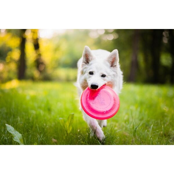Løype JAWZ DISC Frisbee Für Hunde, Rosa, Größe Os