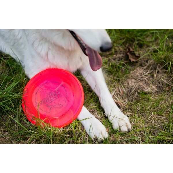 Løype JAWZ DISC Frisbee Für Hunde, Rosa, Größe Os