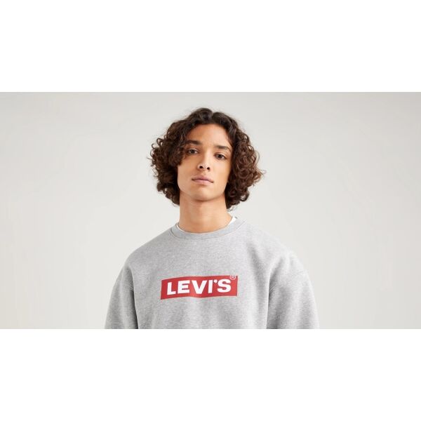 Levi's T3 RELAXED GRAPHIC CREW Herren Sweatshirt, Grau, Größe L