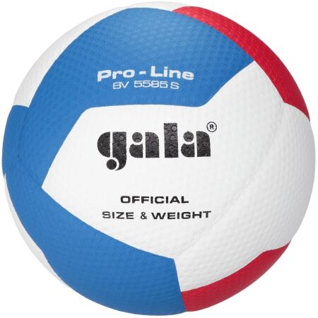 GALA BV5585 PRO-LINE 12 - Volejbalový míč