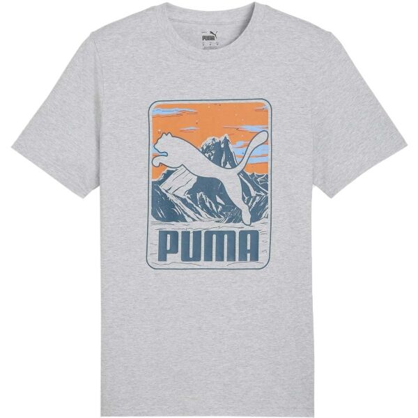Puma GRAPHIC MOUNTAIN TEE Pánske tričko, sivá, veľkosť